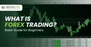 Apa itu Trading Forex? Panduan Dasar untuk Pemula