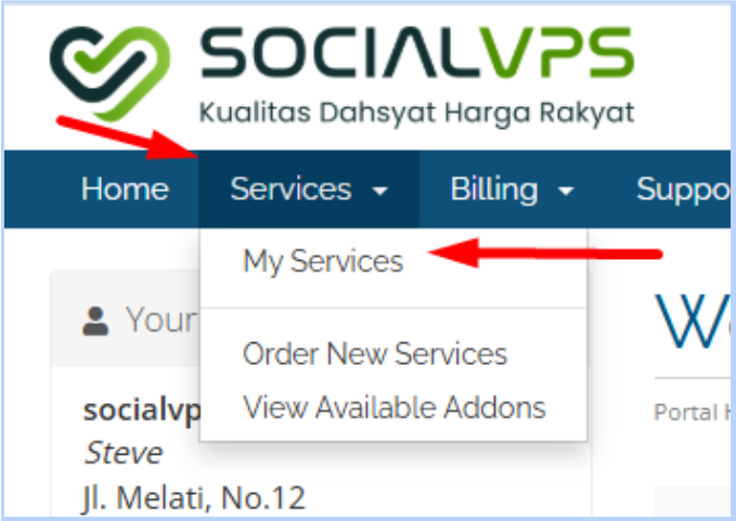 Registerkarte Dienste > Mein Dienst. - SocialVPS Registerkarte Dienste > Mein Dienst.